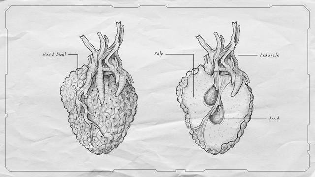 Artbook plate 59